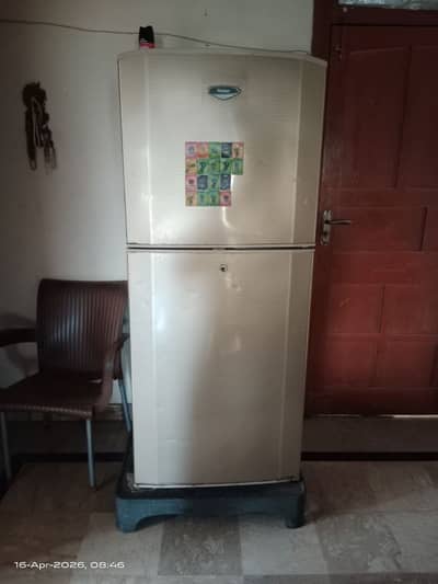 haier full size fridge