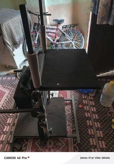 disabled baby stand gear