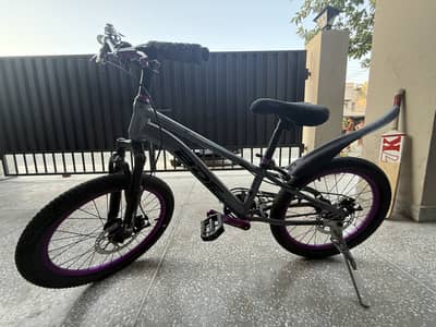 BDF Kids Bicycle 20”