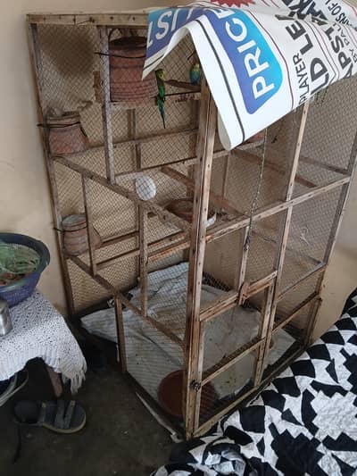 5 pairs hen bachy bhi hen in main