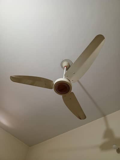 Running Condition Fans 56"