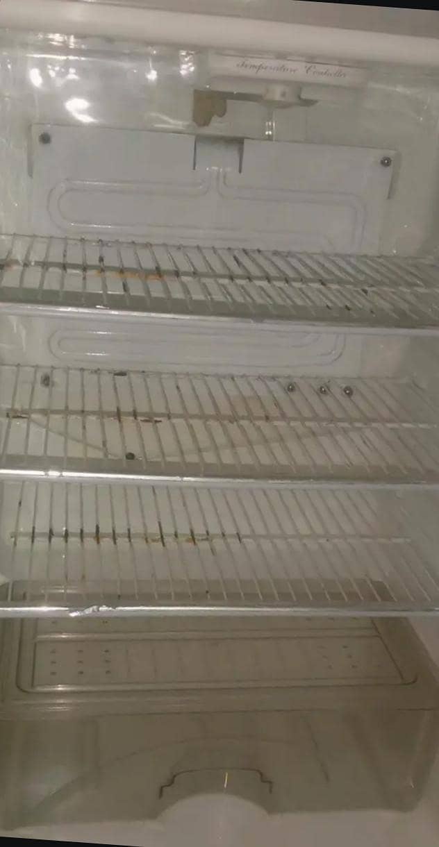 Medium Refrigerator 2