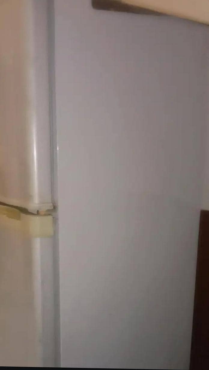 Medium Refrigerator 3