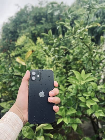 Iphone 12 with charger 88 health jv full ok water proof