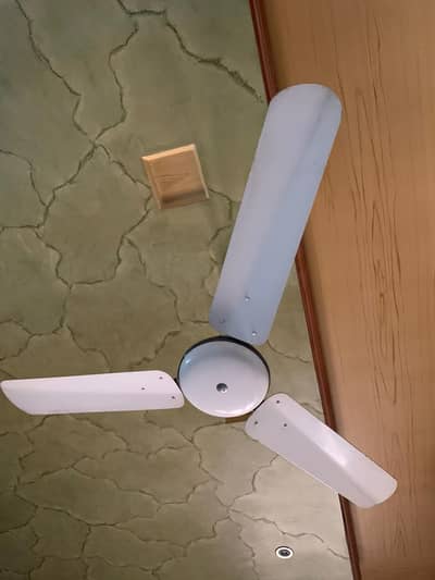 Ceiling Fan for sale
