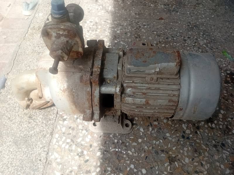 Single impeller pump 0