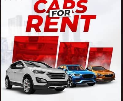 need females for office