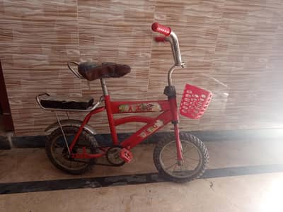 Bicycles for Kids for Sale