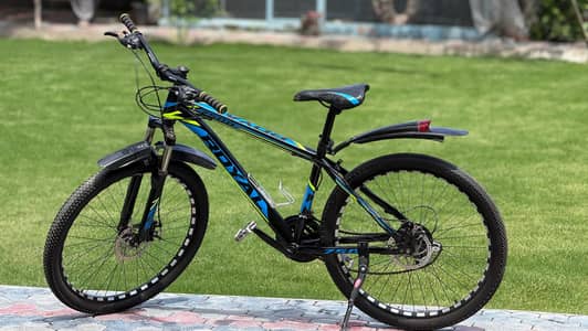 Royal Imported Sports Bicycle