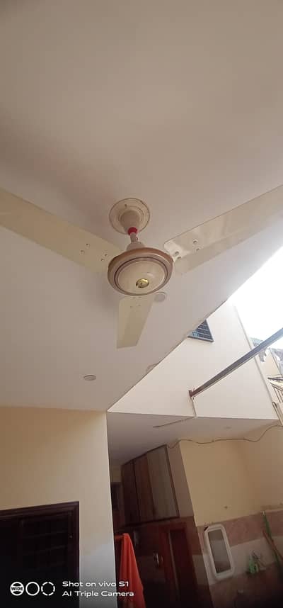 Royal fan. 75 watt. good condition.