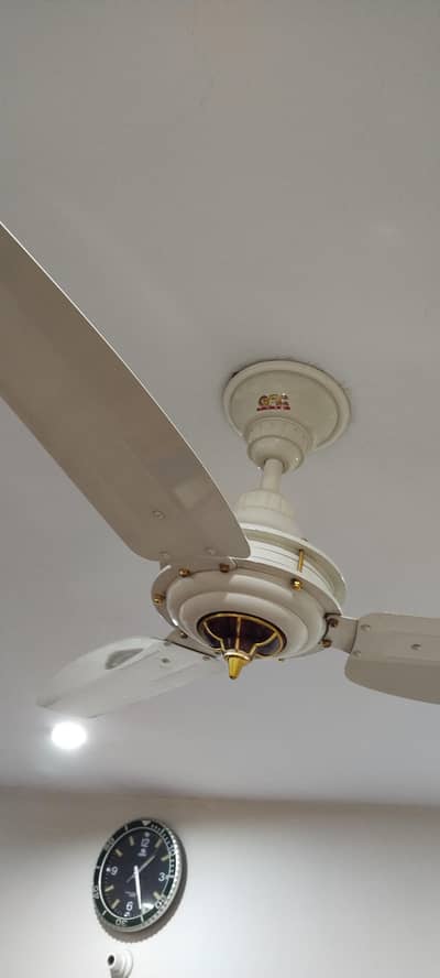 GFC celing fan
