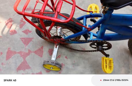 all ok ha baby cycle