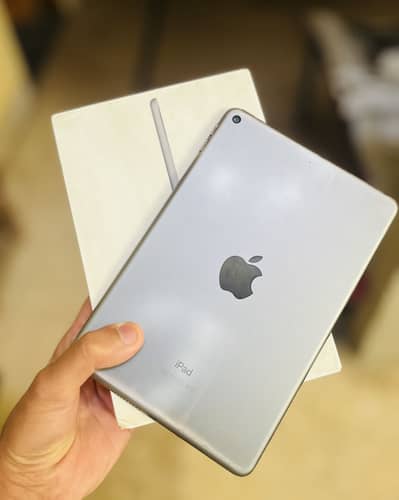 I pad mini 5 5th generation with original box and charger