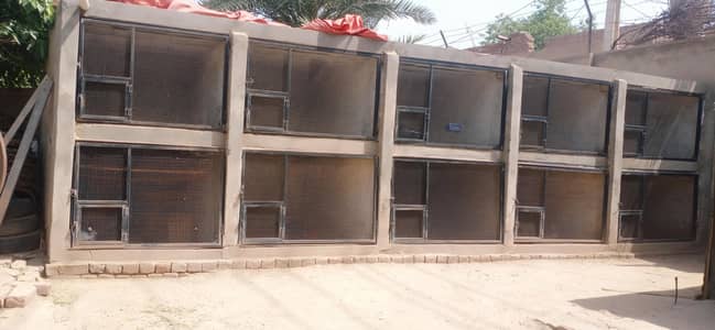 Cement ,TR ,Tiles cages