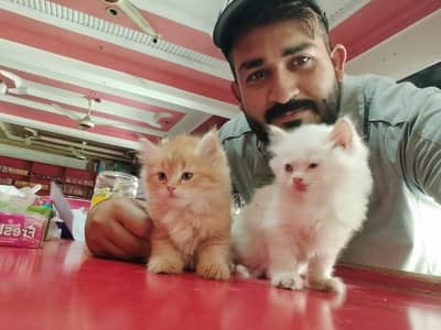 parishioners 2 core 2month