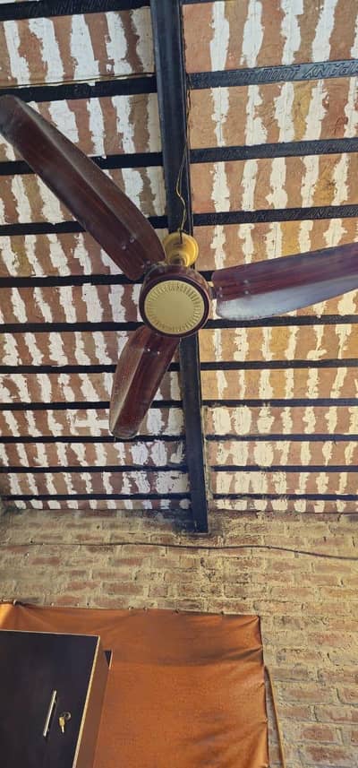 Celling Fan 10/8