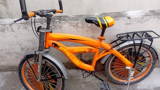 Stallion Sport, 2021