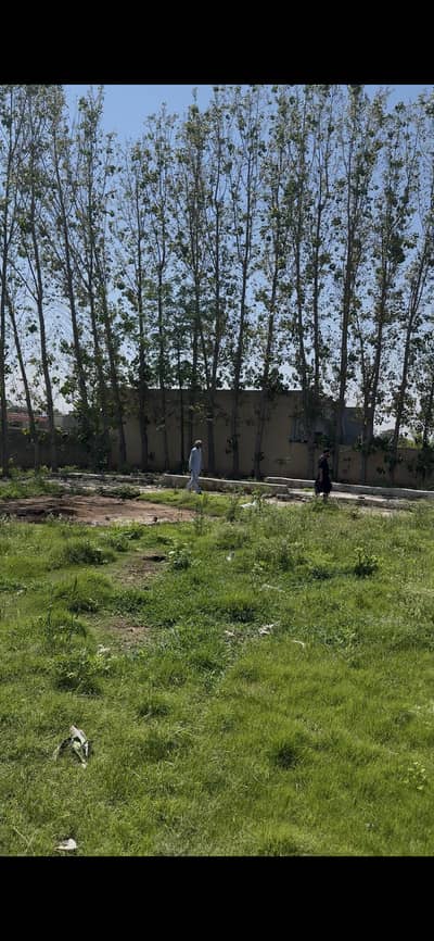 Goat Farm Care Taker | تجربہ کار بکری فارم کیئر ٹیکر درکار ہے