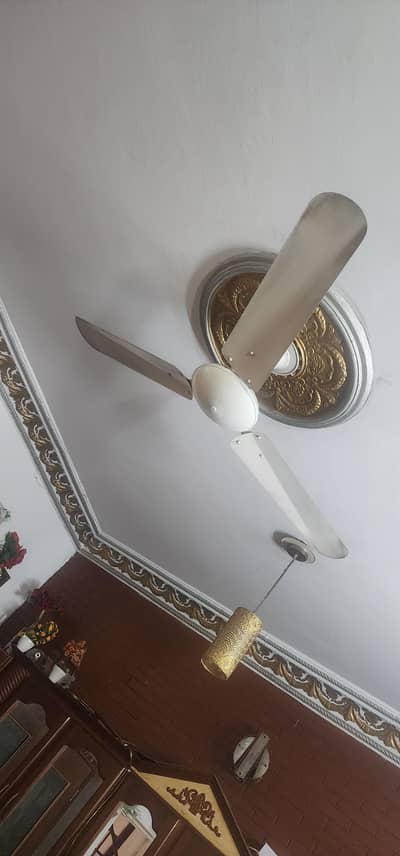 Fan Copper