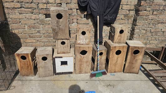 parrot breeding boxes