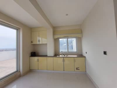 3 Bedroom Penthouse Available For Rent beautiful view. .