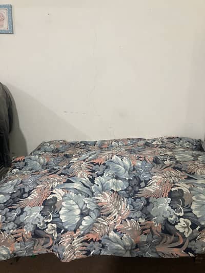 Large Size Bed