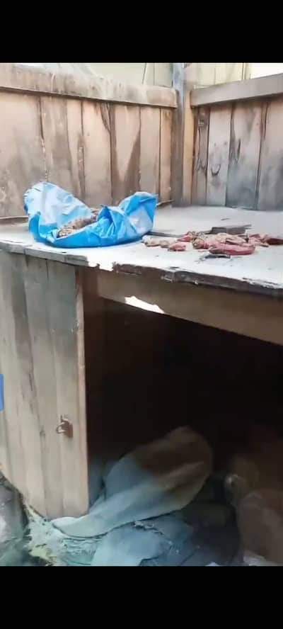 food point stal size 4*8 wood meterial 03035160297