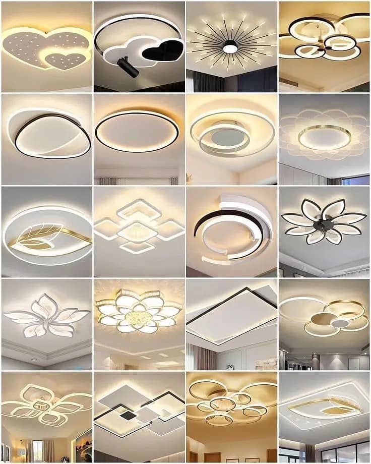 Plastic Paris Ceiling / False Ceiling / pop Ceiling / dumpa Ceiling 17