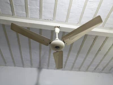 selling fan