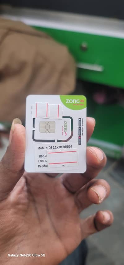 Zong golden number 804