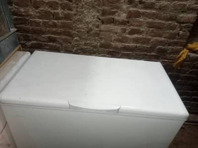 Purchasing Freezer of Hier company