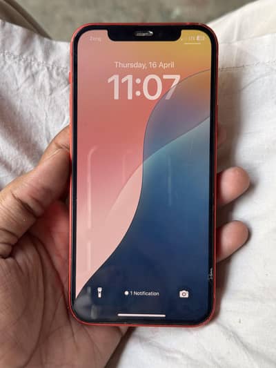 Iphone 12 Official PTA