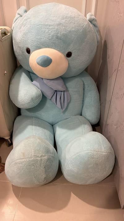 5ft Teddy Bear for Sell