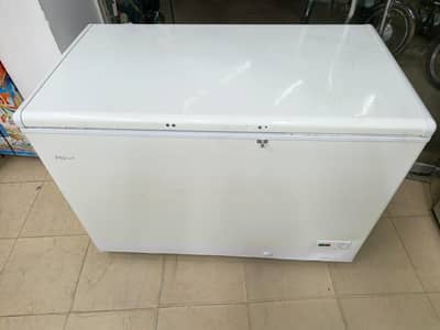 Haier D freezer singel door genuine (0306/4462/443) lushset