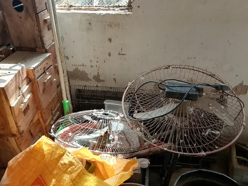 Cage, Breeding Box, AC DC Fan — photo 5