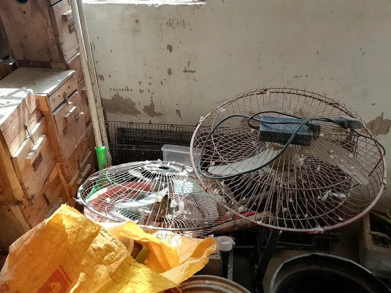 Cage, Breeding Box, AC DC Fan — photo 6