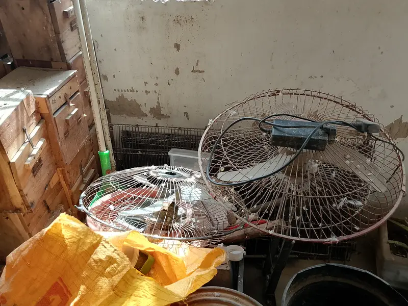 Cage, Breeding Box, AC DC Fan — photo 7