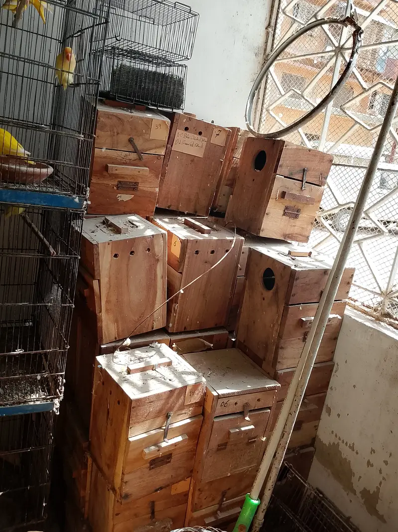 Cage, Breeding Box, AC DC Fan — photo 8