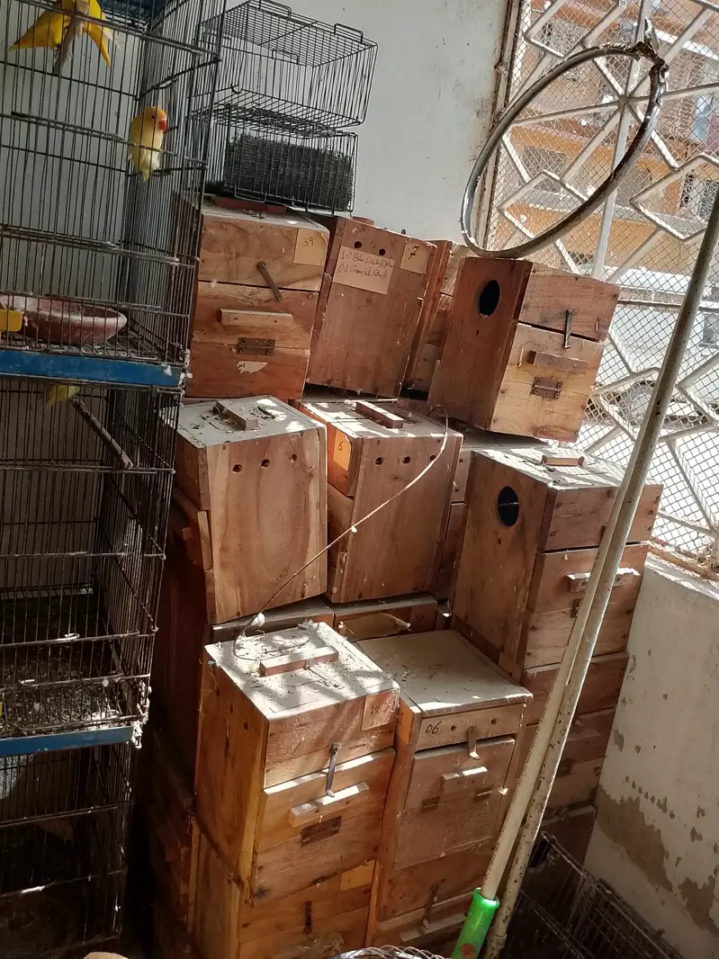 Cage, Breeding Box, AC DC Fan — photo 10