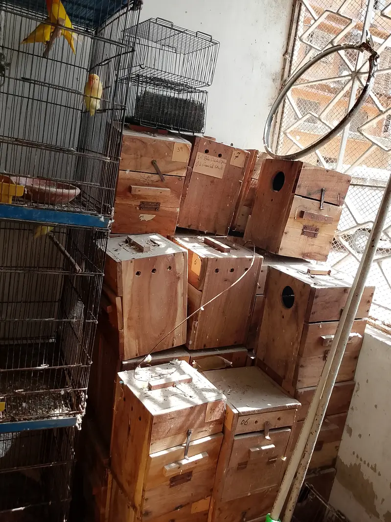 Cage, Breeding Box, AC DC Fan — photo 11
