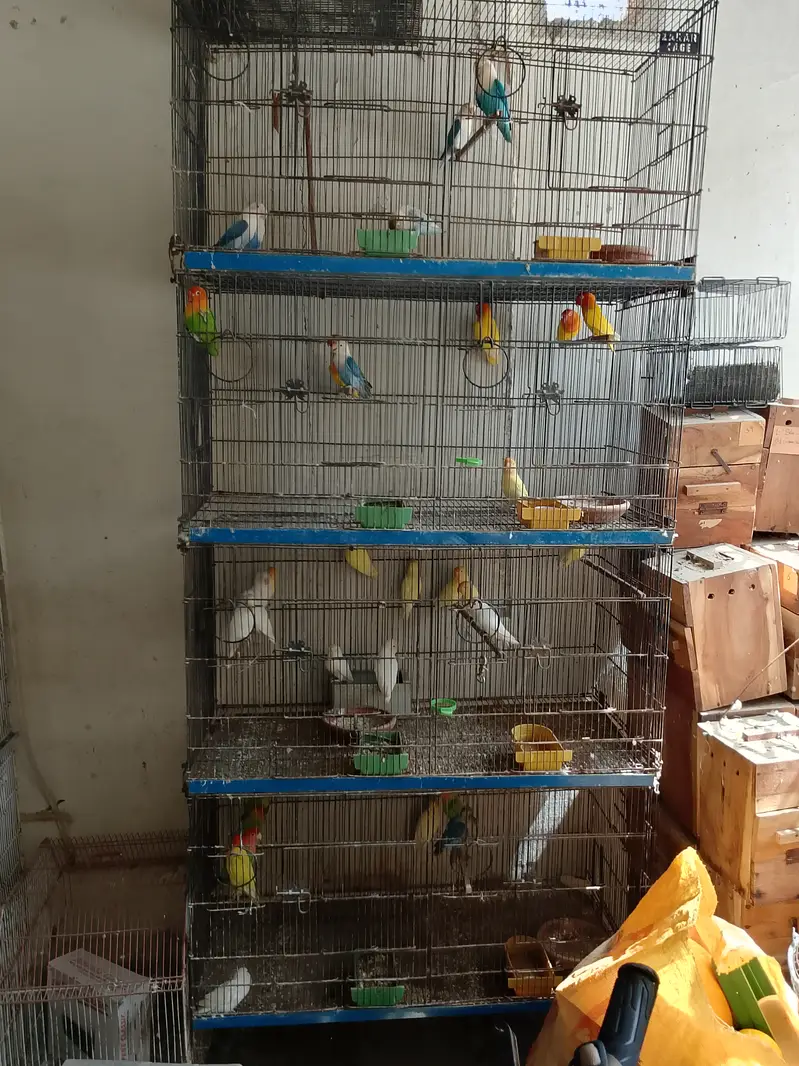 Cage, Breeding Box, AC DC Fan — photo 12