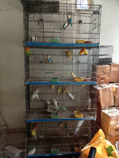 Cage, Breeding Box, AC DC Fan