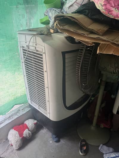 Just like new just one month used buy pervious year