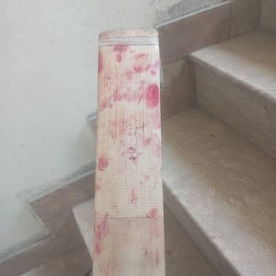 CA cricket bat