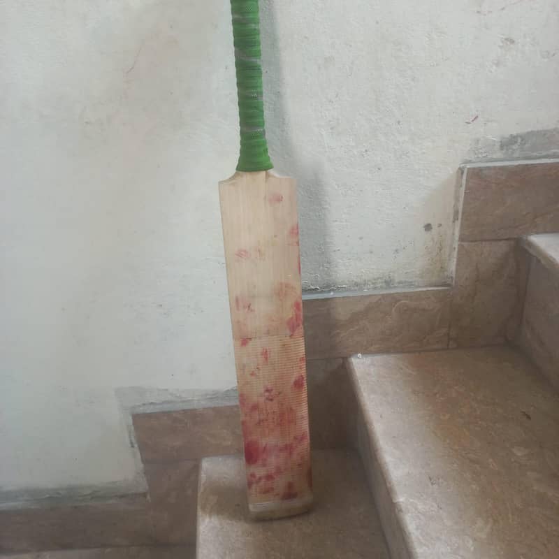 CA cricket bat 1