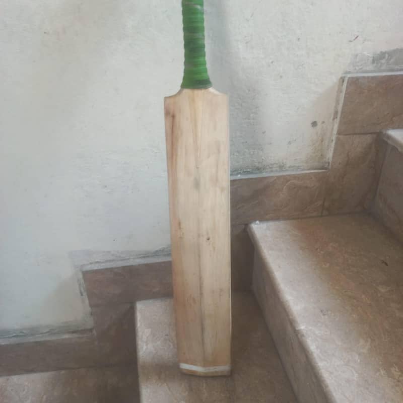 CA cricket bat 2