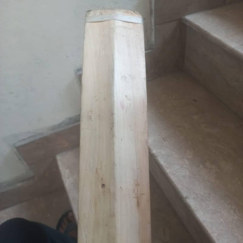 CA cricket bat 3