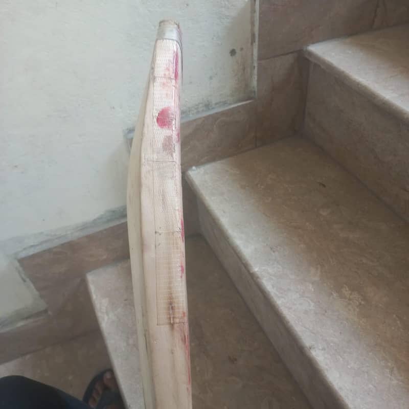 CA cricket bat 4