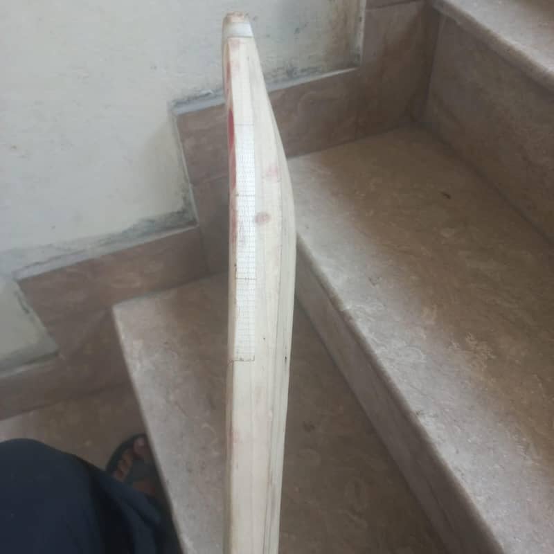 CA cricket bat 5