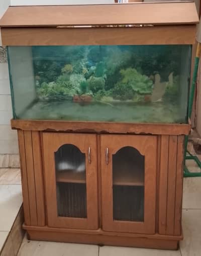 Beautiful Fish Aquarium